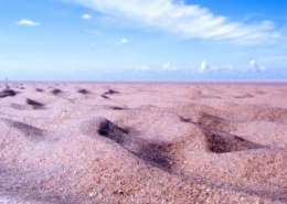 Sand am Meer – schwierige Entscheidungen können durch ein Zuviel an Optionen kommen